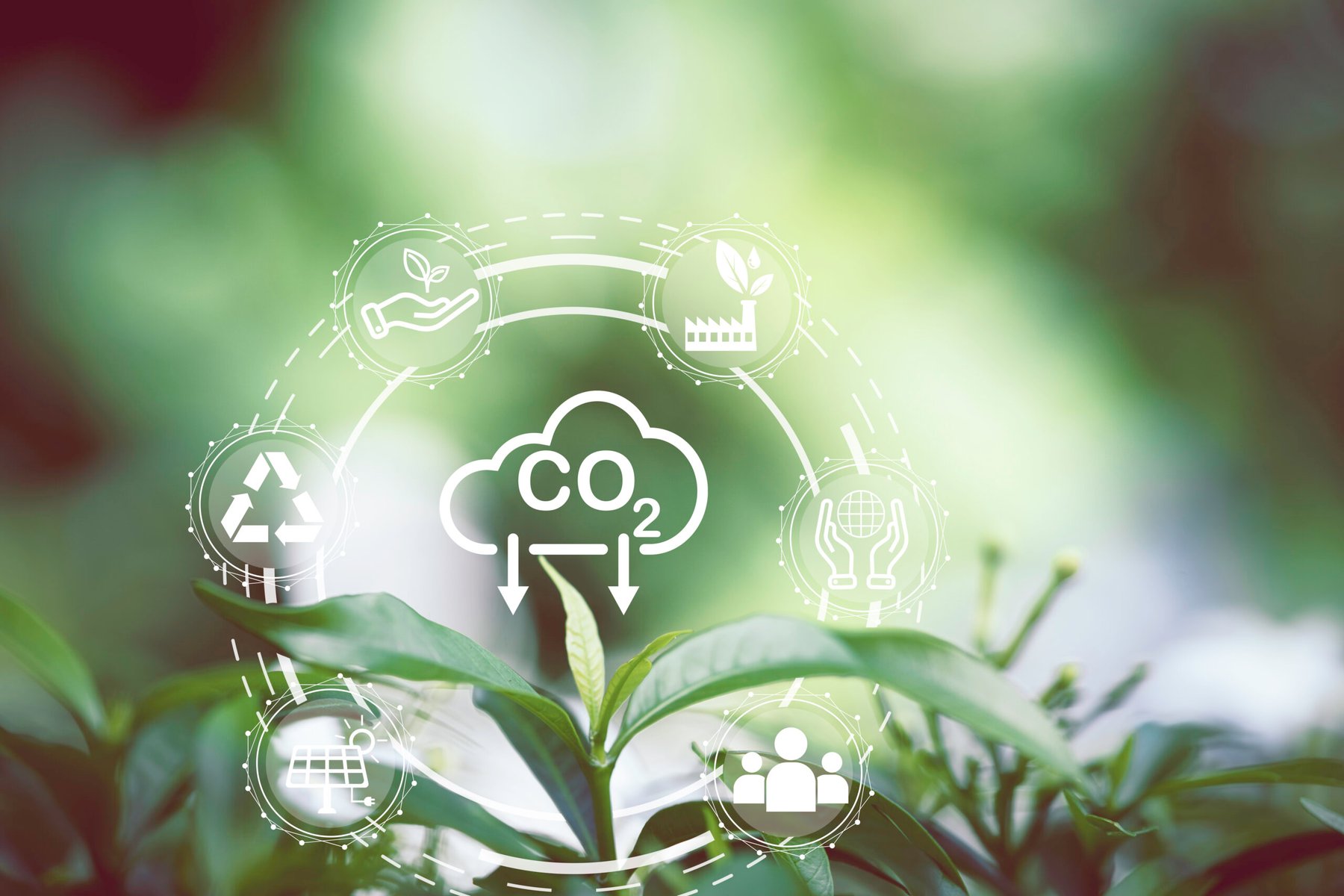 Australia launches first carbon refinery to convert captured CO₂ from ammonia production
