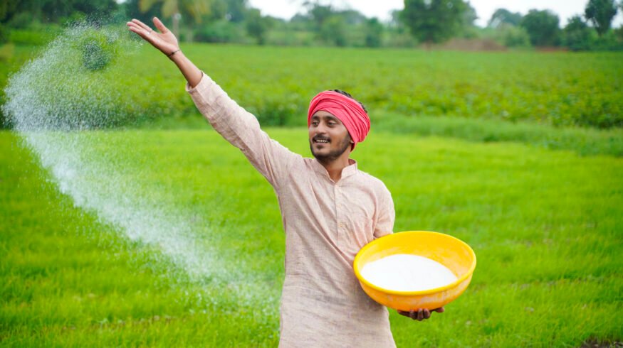 India’s fertilizer subsidy bill is set to exceed previous records as DAP imports are finalized at $935 per tonne