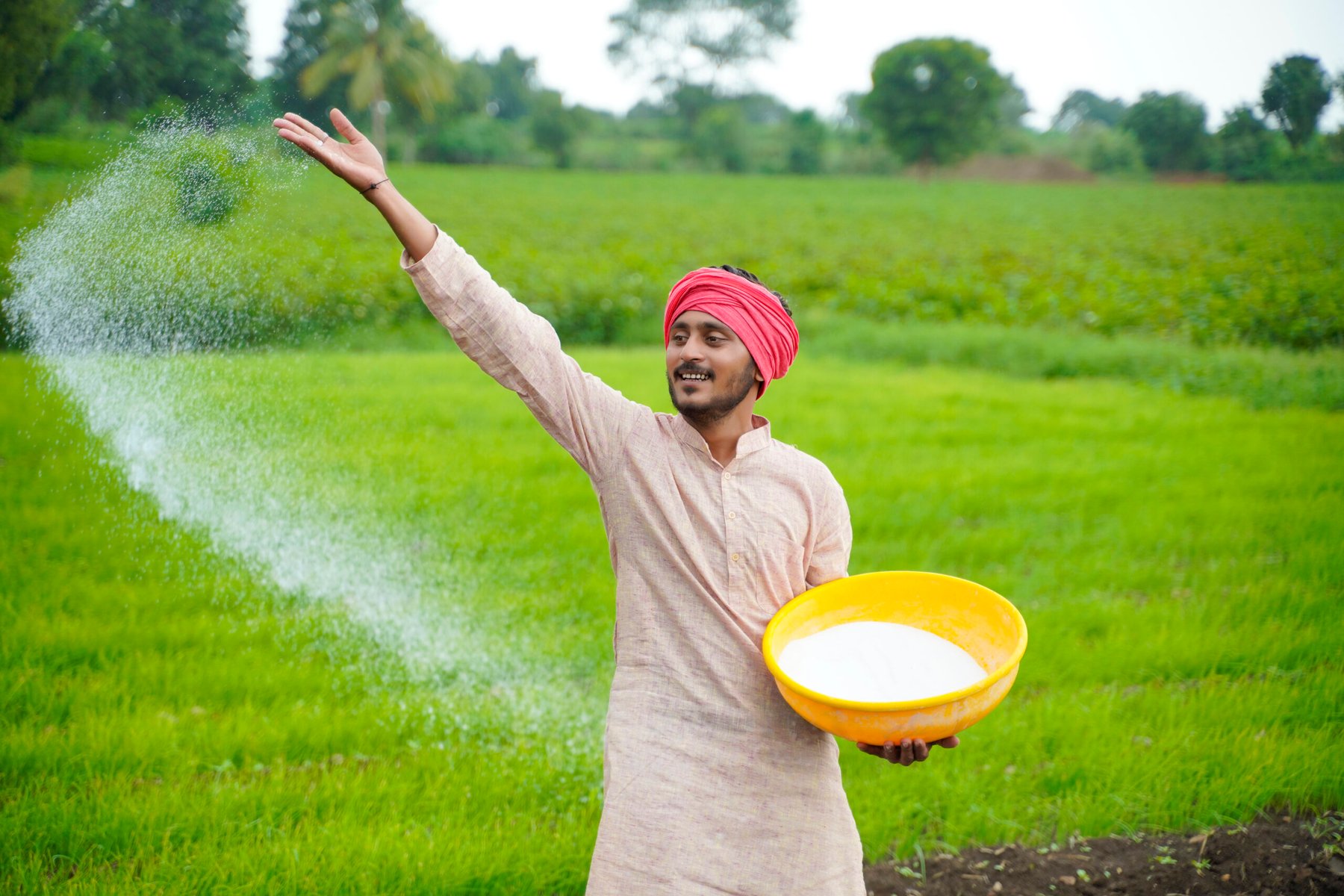 India’s fertilizer subsidy bill is set to exceed previous records as DAP imports are finalized at $935 per tonne