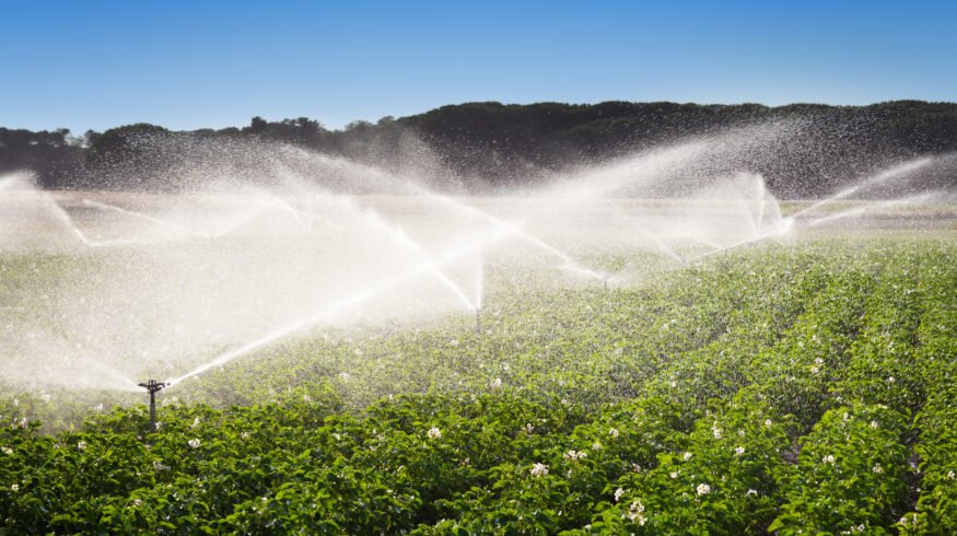San Diego’s desalination strategy gains attention as Western water shortages deepen