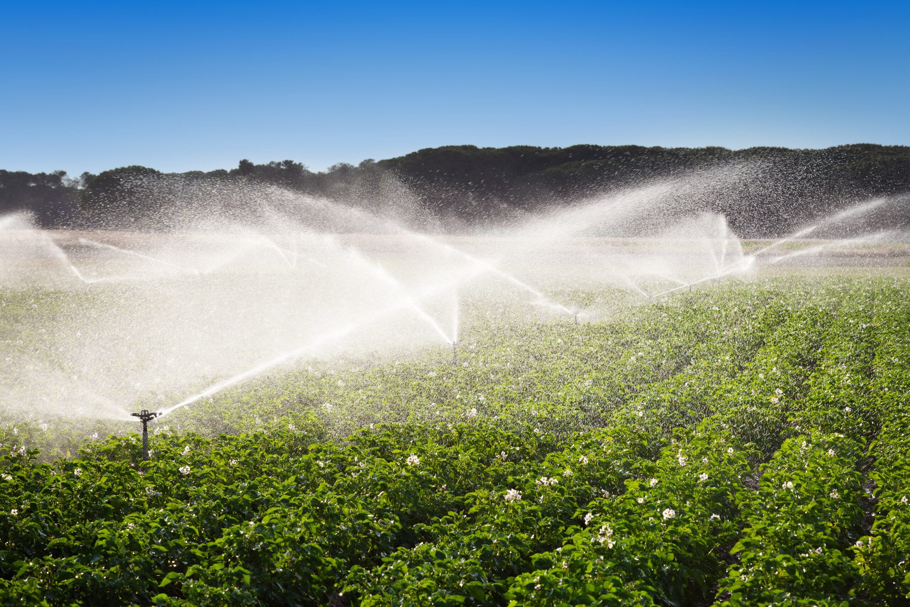 San Diego’s desalination strategy gains attention as Western water shortages deepen