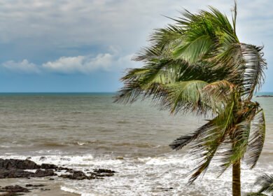 UN warns El Niño could intensify global weather extremes through 2027