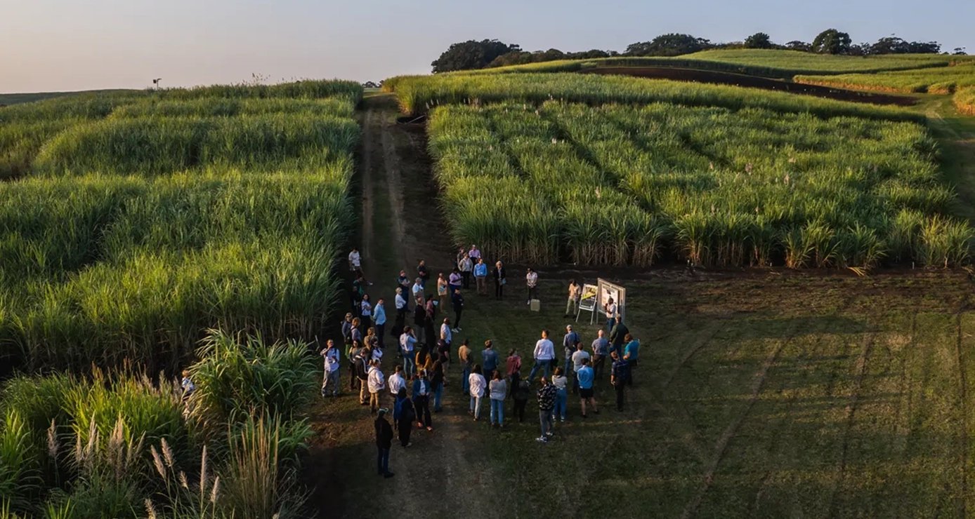SAI Platform launches regenerative agriculture program to standardize adoption across global supply chains