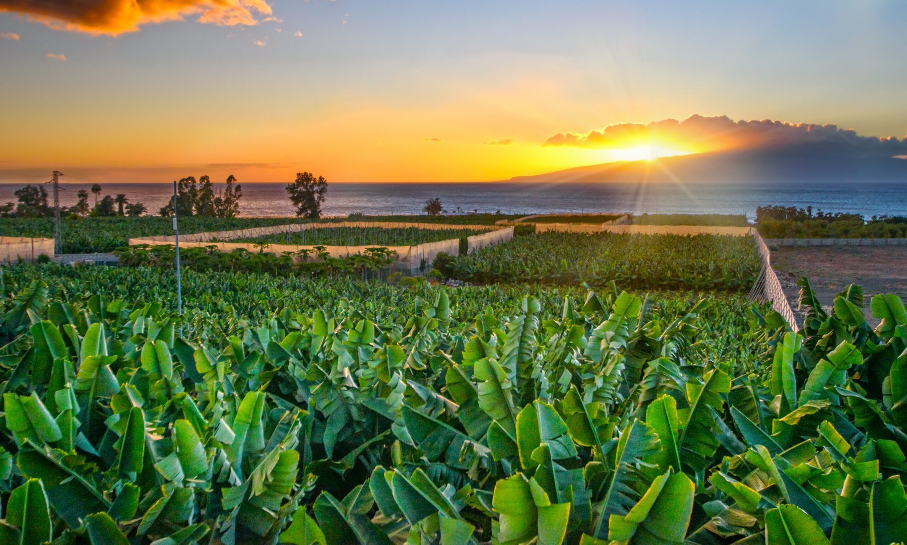 Embrapa and Bayer unveil simplified soil carbon model for tropical farms