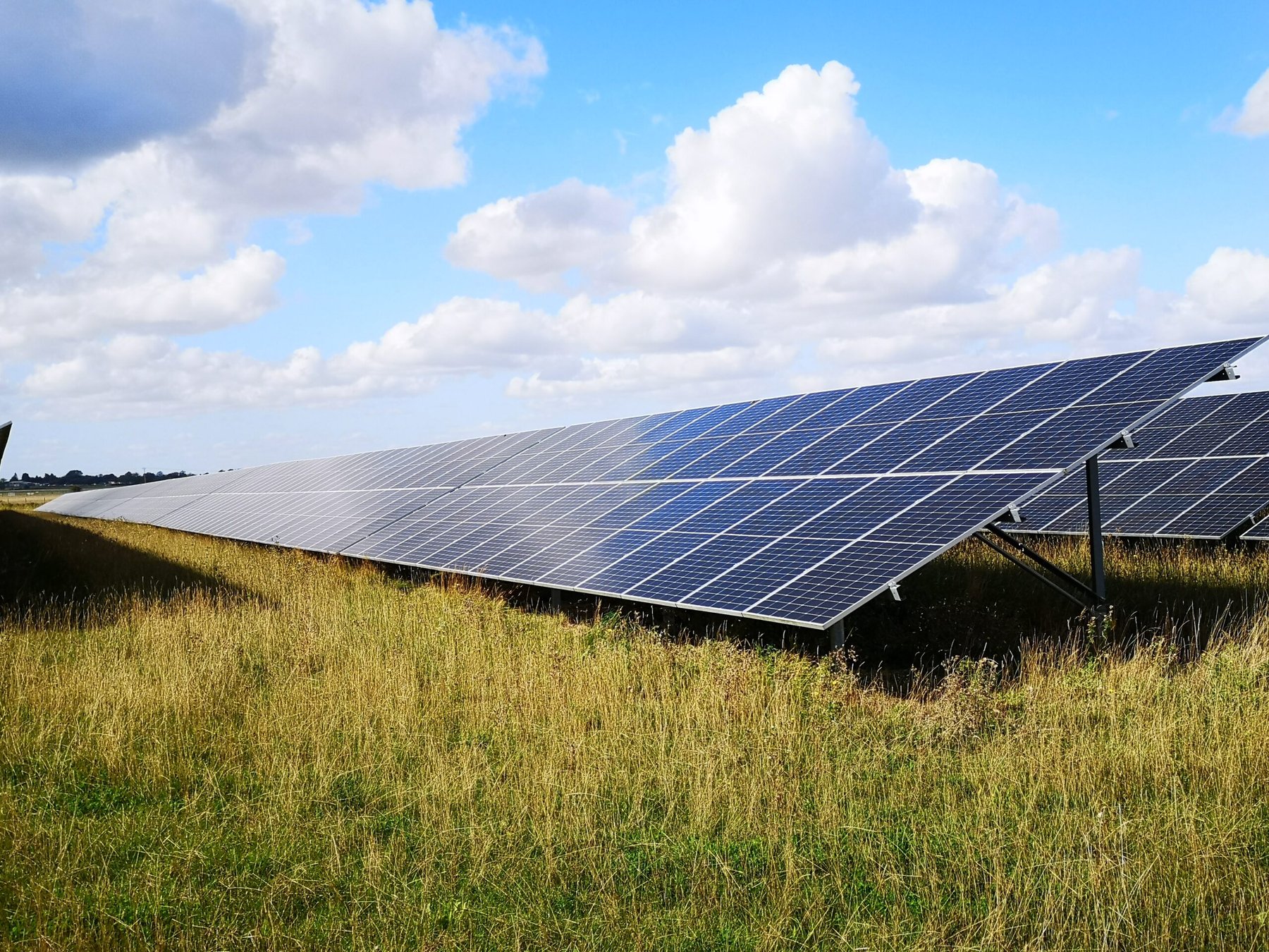 Solar panels on rewetted peatlands may boost biodiversity while generating clean energy, study finds