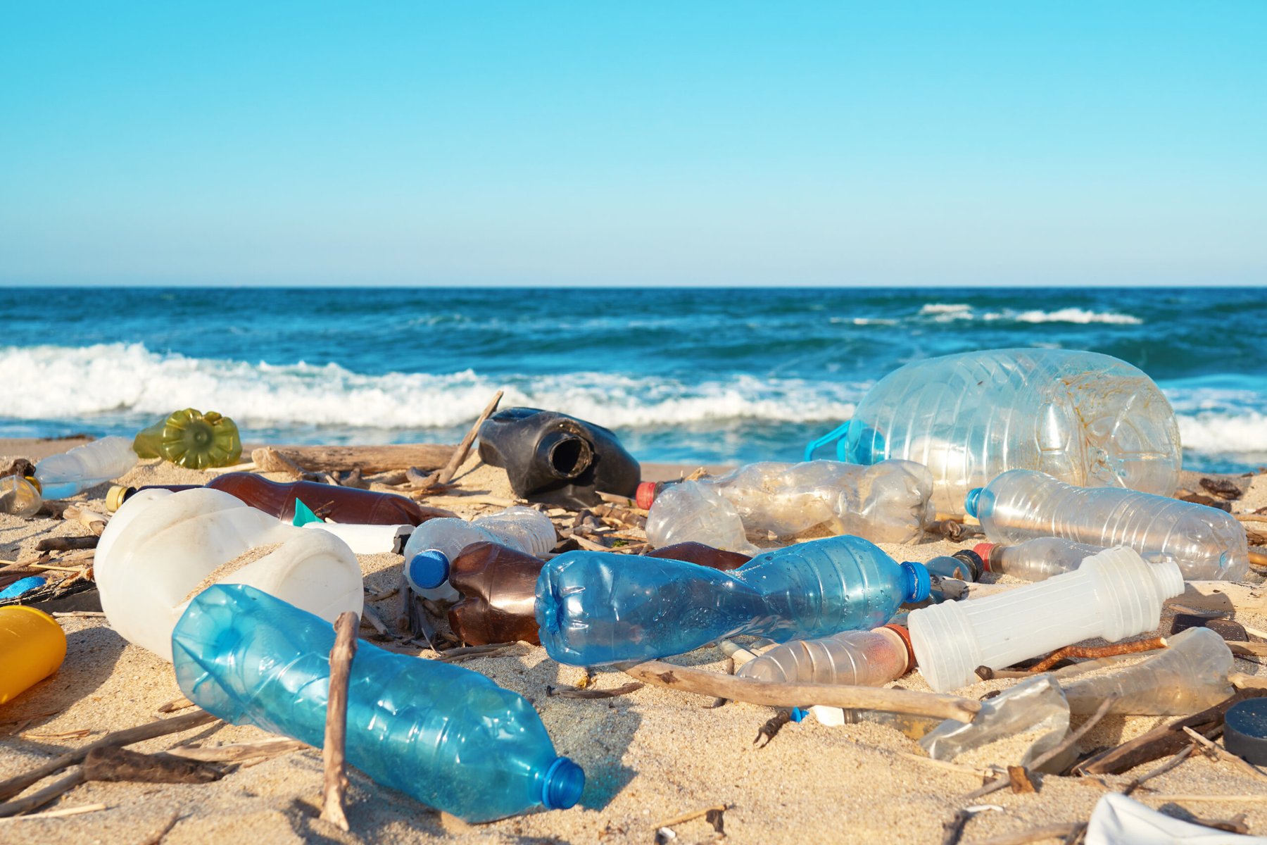 Sustainable alternatives struggle to challenge plastics despite growing push to cut ocean pollution