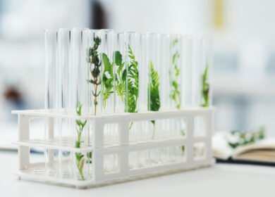 Scientists from Washington State University transferred  nitrogen-fixing gene cluster into non-fixing bacteria