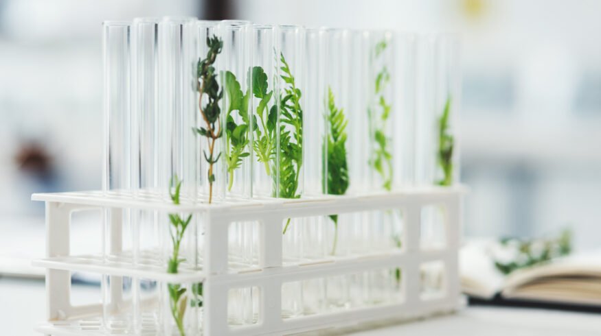 Scientists from Washington State University transferred  nitrogen-fixing gene cluster into non-fixing bacteria