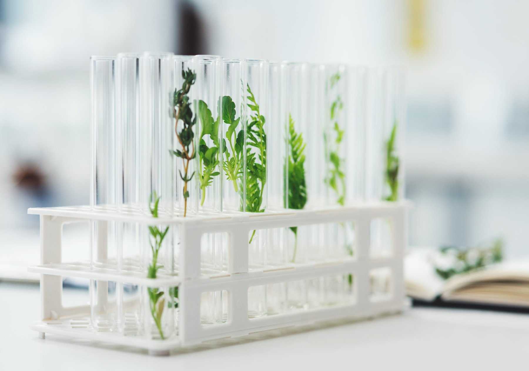 Scientists from Washington State University transferred nitrogen-fixing gene cluster into non-fixing bacteria