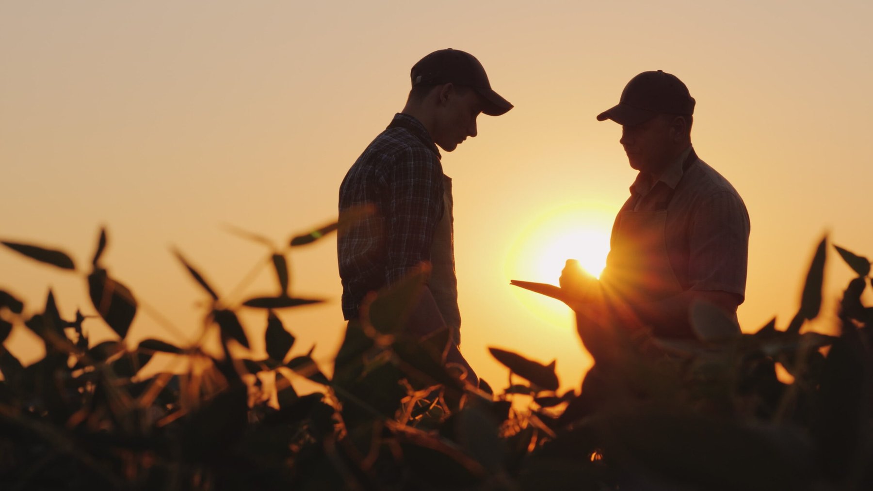 Farmers link industry consolidation to higher fertilizer and input costs, survey finds