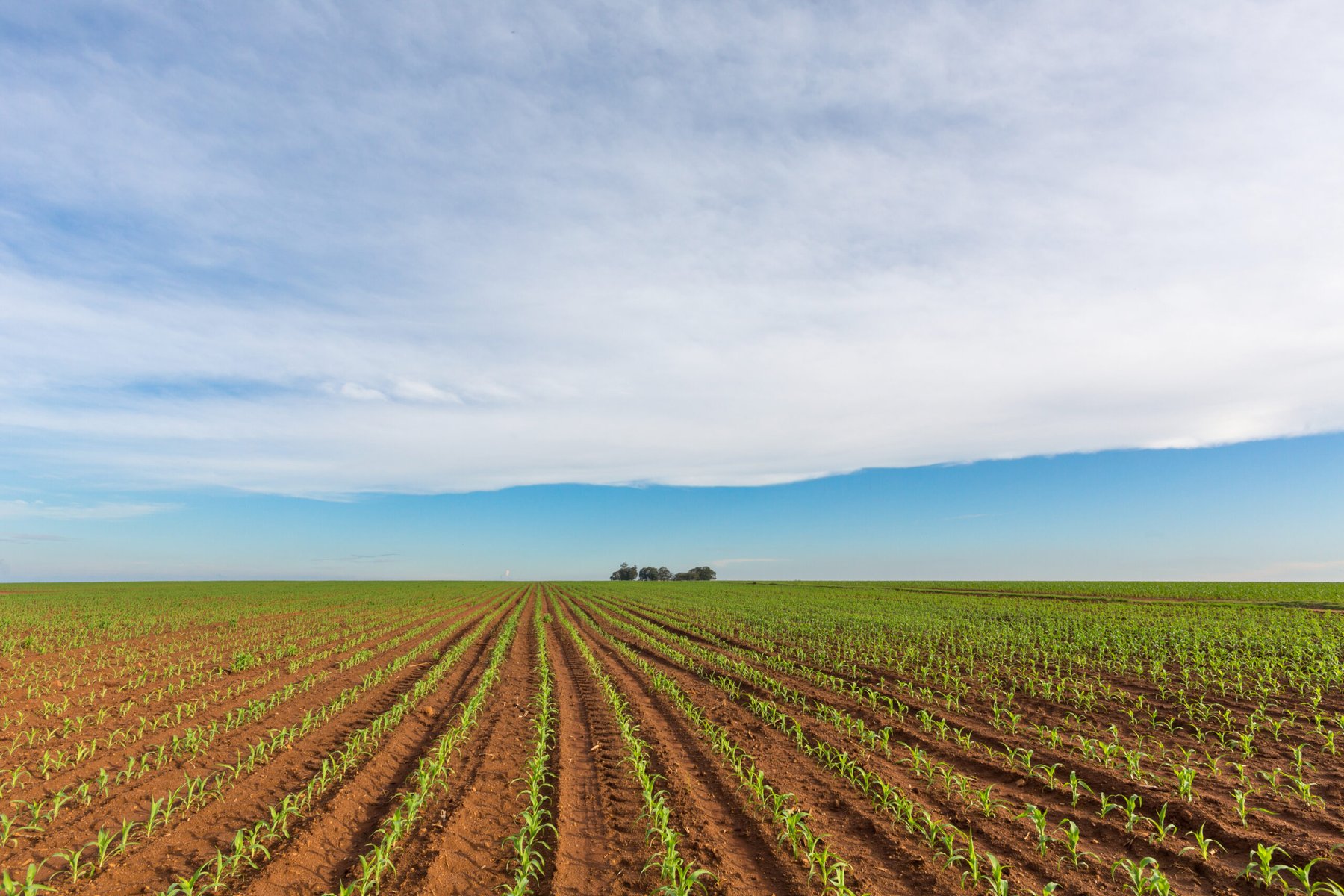 Mozambique, Zambia and Uganda widen fertilizer-access programs as Gulf tensions lift prices