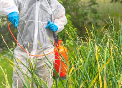 New fungicide chemistry targets 99% control as critical Mancozeb faces bans