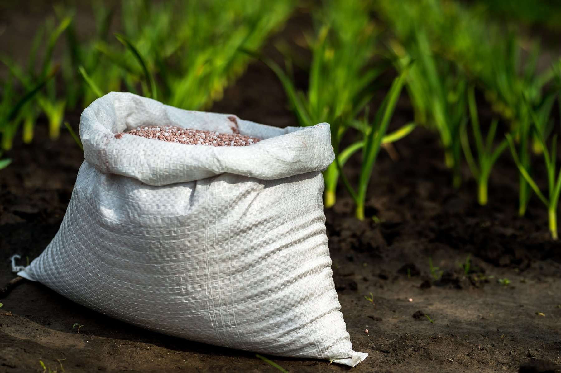 Fertilizer prices could climb 30% in 2026 as Hormuz risks bite