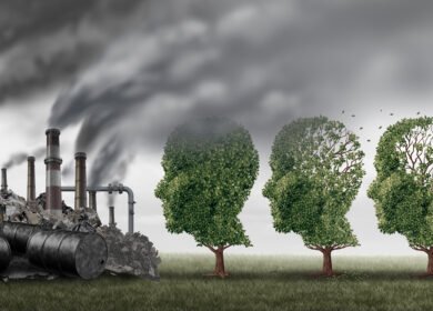 EU chemicals alliance faces criticism over industry influence and deregulation