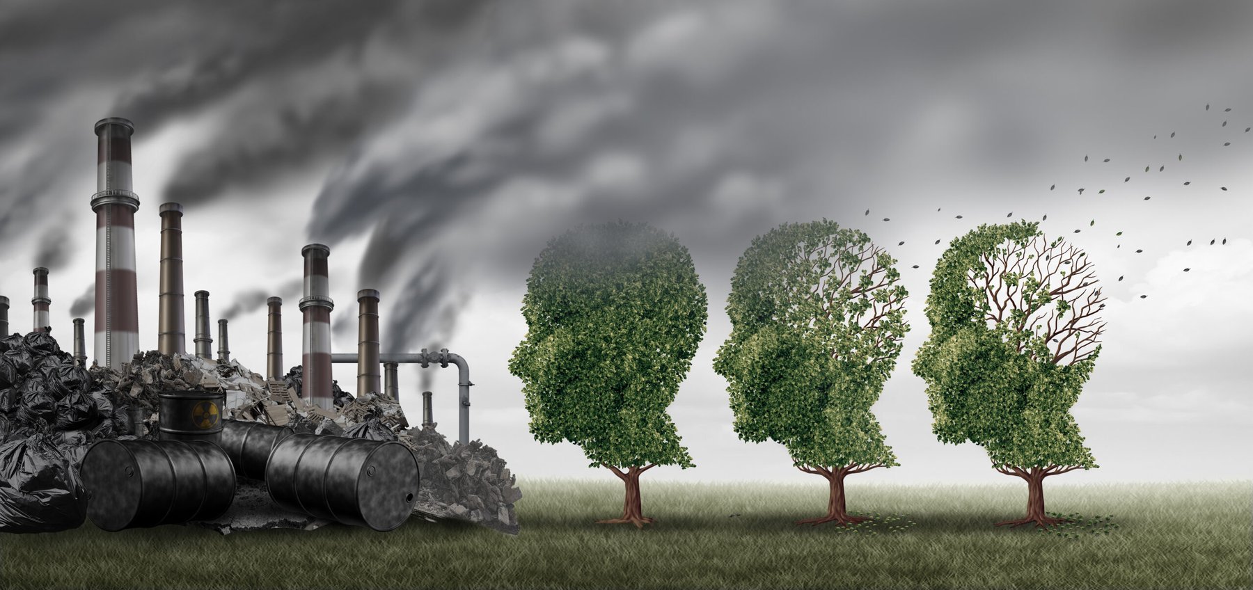 EU chemicals alliance faces criticism over industry influence and deregulation