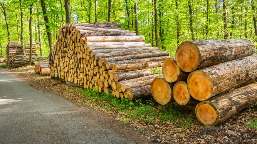 USDA backs Oregon and Nevada timber projects with $80 million in loan guarantees