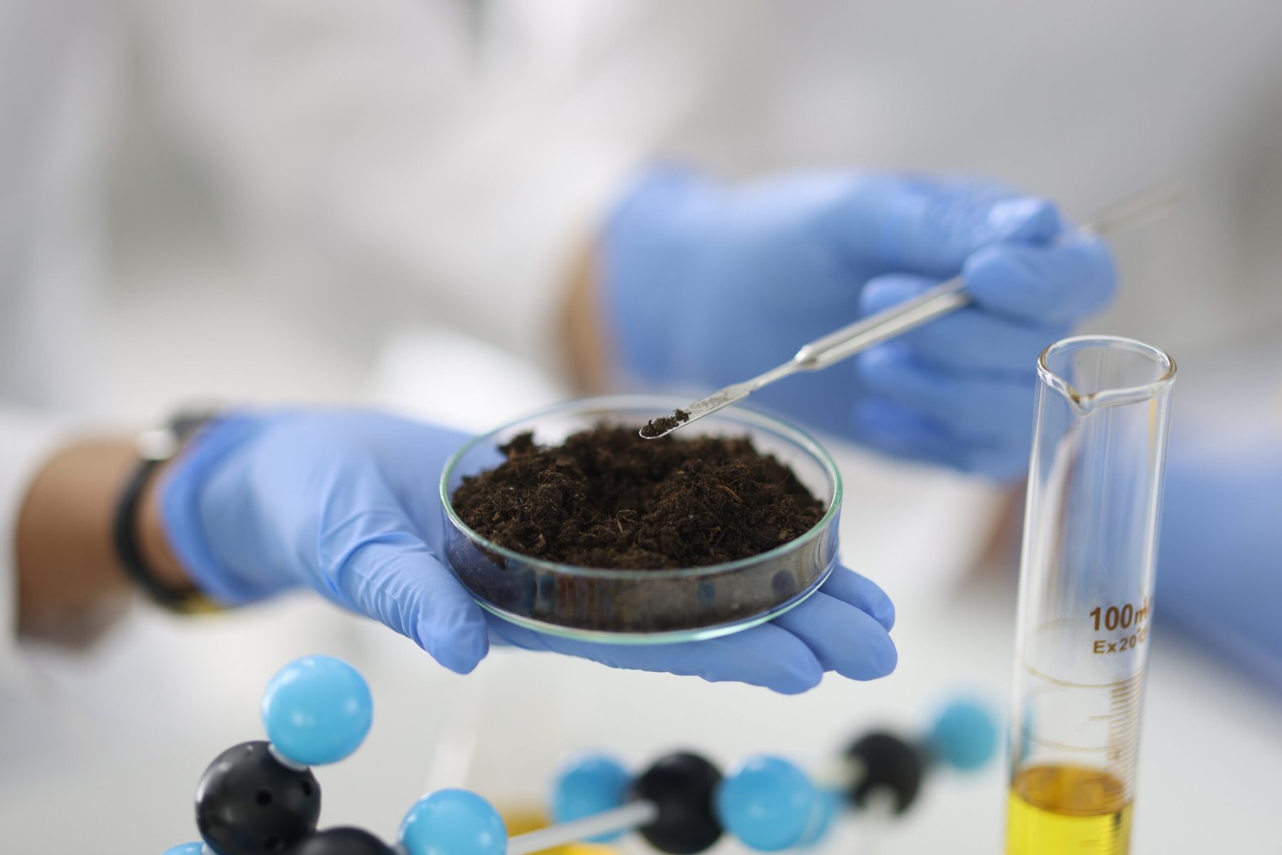 Stable soil carbon proves vulnerable in landmark 37-year warming trial