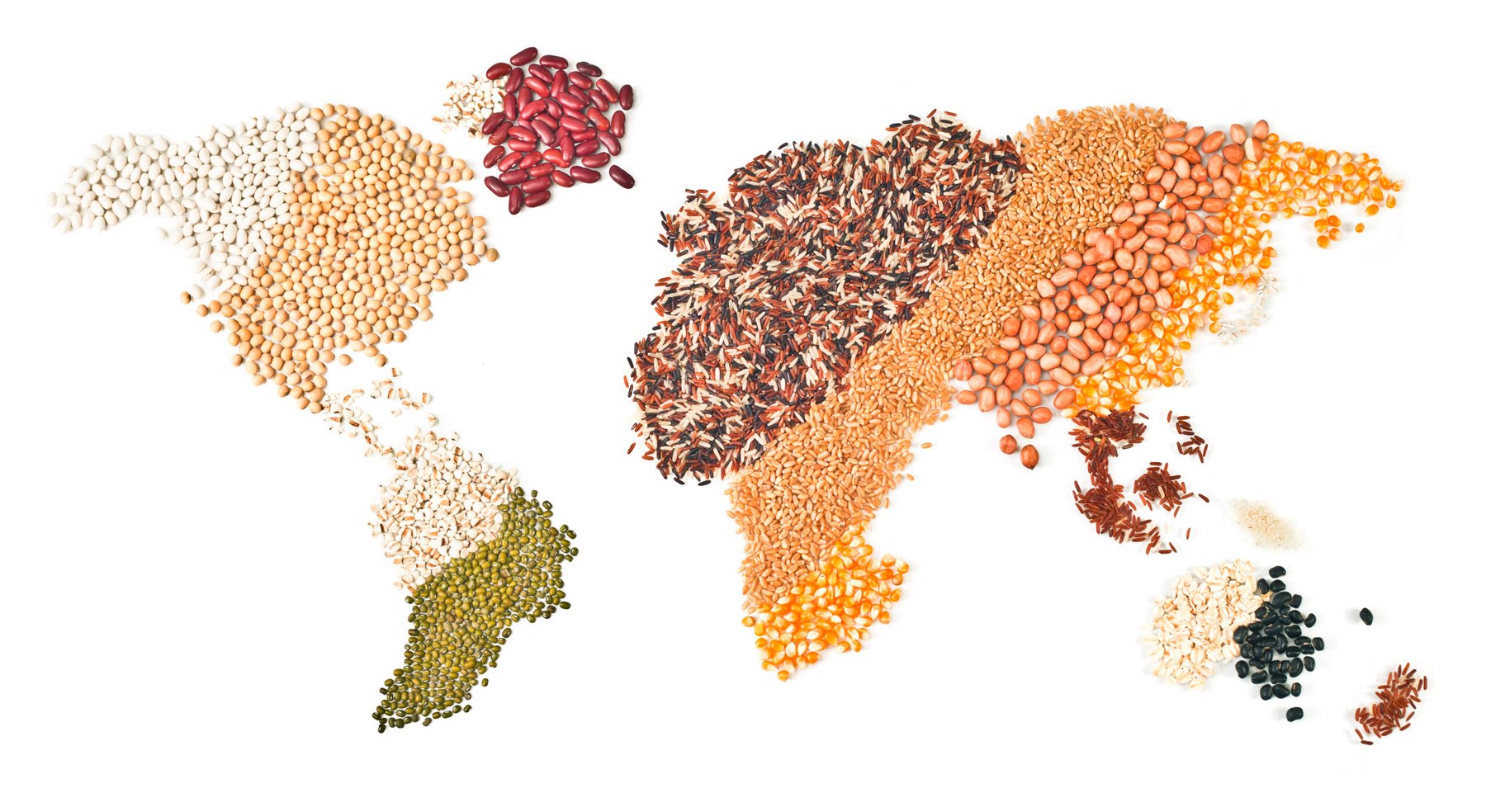 Global crop outlook diverges as drought cuts European harvests while South America posts record gains