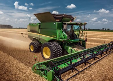Winter wheat harvest still pending in four U.S. states as acreage trends diverge