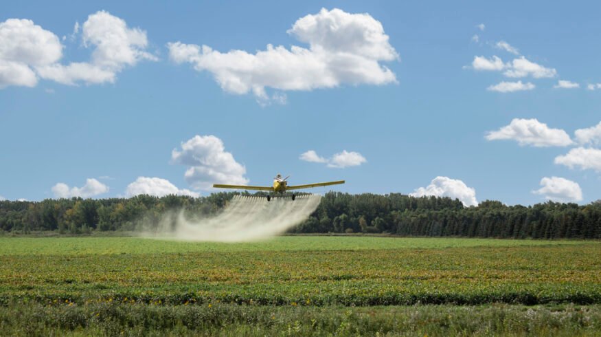 High prices push U.S. farmers toward phosphate cutbacks this fall