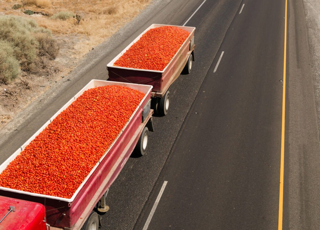 Dependent Events Problem U.S. tomato prices hit a 45-year high affected by weather, trade policy ...