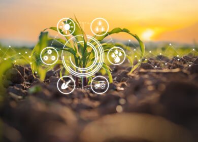 Smarter agriculture marketplaces, stronger farms: how digital platforms could help growers cut costs and build trust