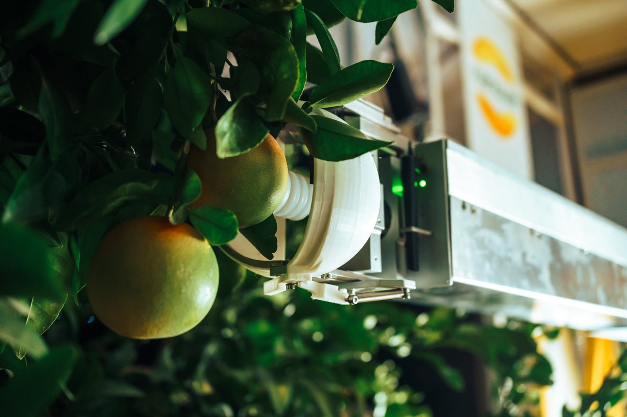 Nanovel secures $2.85 million EU grant for citrus harvesting robots