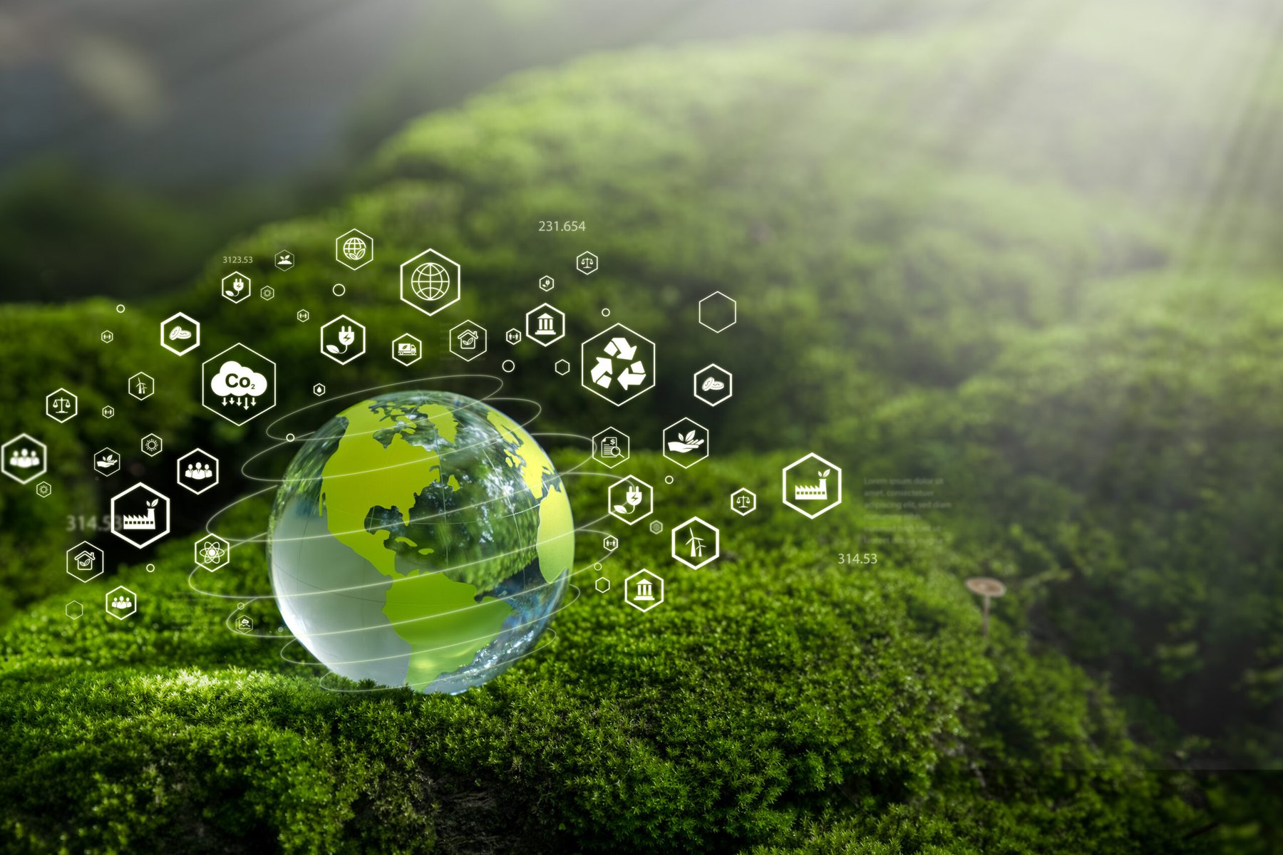 Green ammonia Chile project seeks approval for $4.7 billion export-oriented plant
