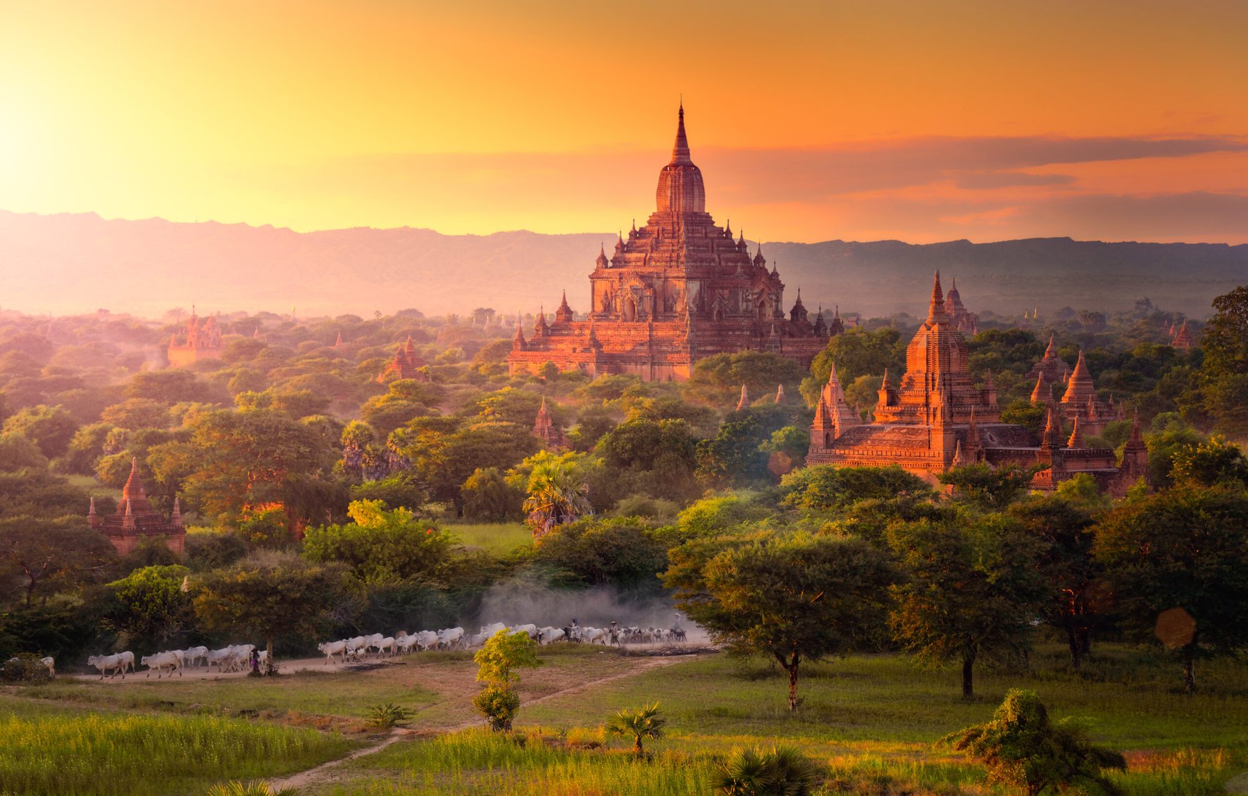 Myanmar raises farm loan limits and cuts interest rates as fertilizer costs climb
