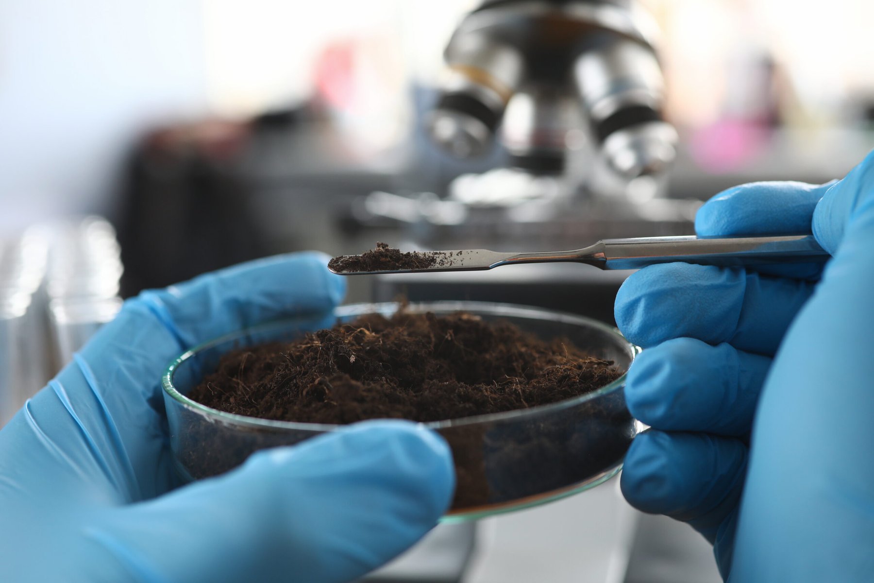 Excess fertilizer quietly undermines the soil microbes that crops depend on