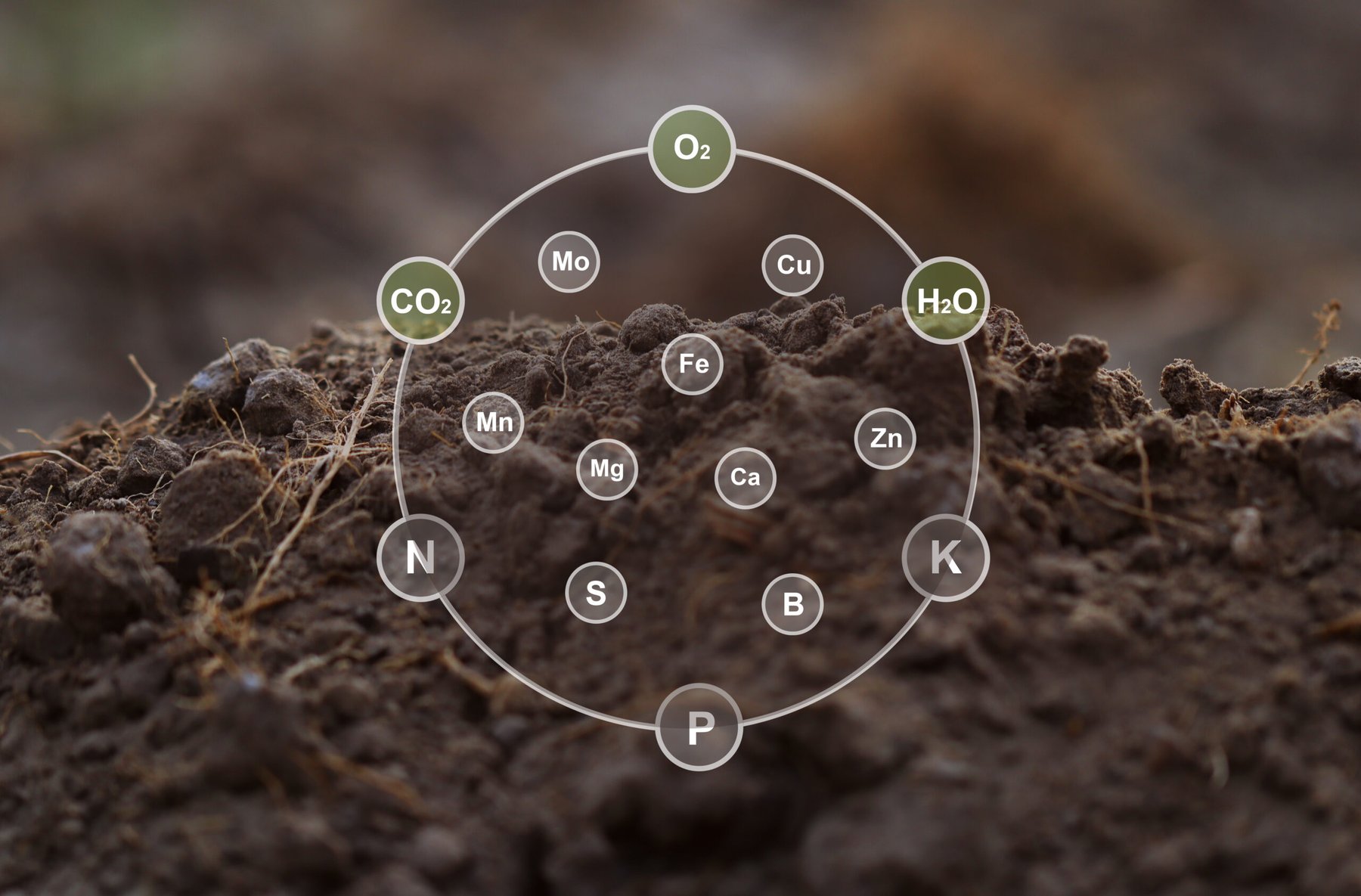 New soil phosphorus measurement reveals a hidden nutrient pool across 32 soils