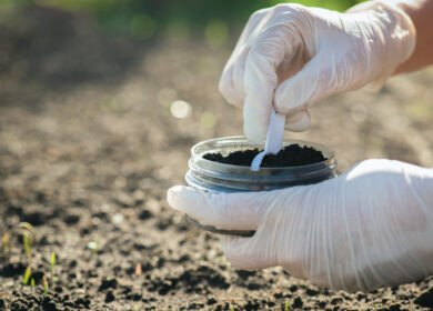 Biochar and bacteria raise plant-accessible potassium in acidic soil