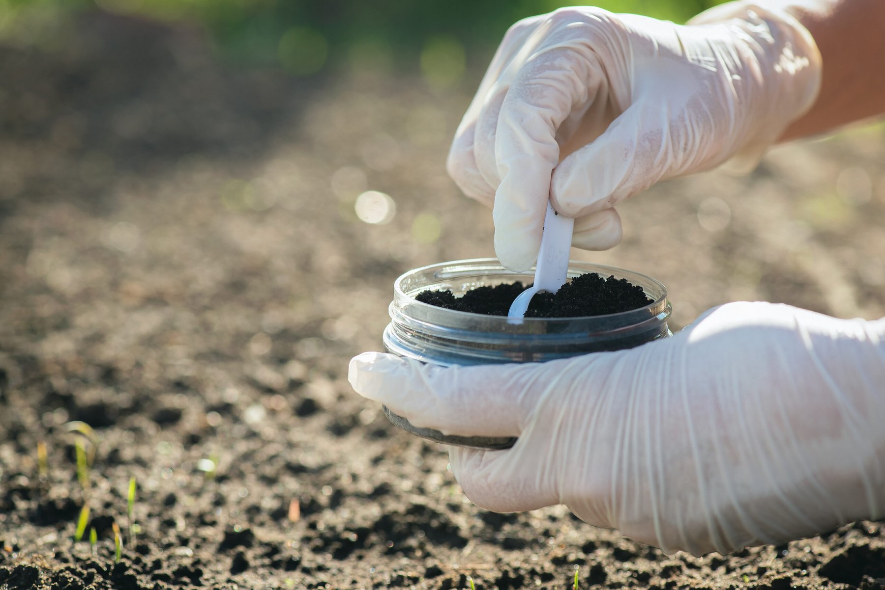 Biochar and bacteria raise plant-accessible potassium in acidic soil