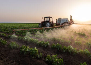 US retail urea falls 12% to $731/t in third week of June — first broad price retreat since February