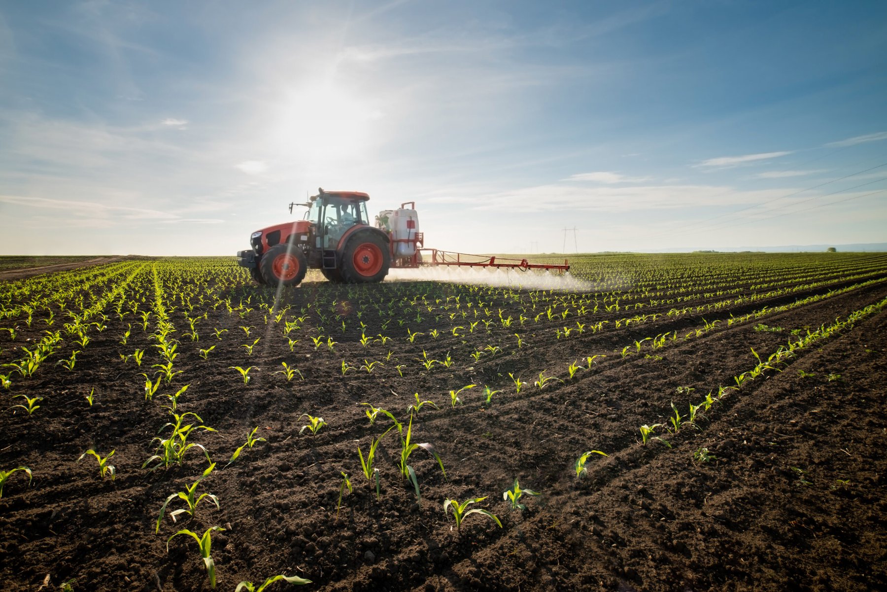 Tri-allate’s multisite action could strengthen fight against herbicide-resistant grassweeds