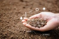 New research maps how engineered soil microbiomes could cut synthetic fertilizer use