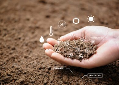 New research maps how engineered soil microbiomes could cut synthetic fertilizer use