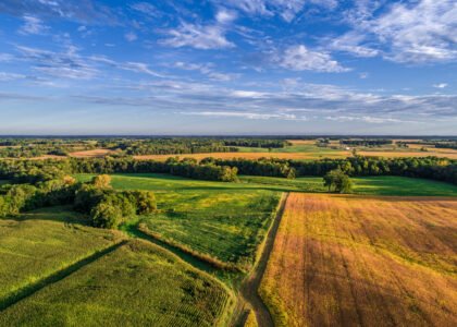 Switch Bioworks appoints new CSO as nitrogen-fixing microbe startup expands Midwest corn trials