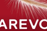 Arevo reports higher corn yields with up to 30% less nitrogen in European and Brazilian trials