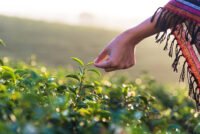 CropLife India seeks 5-year data protection, warns of narrowing options