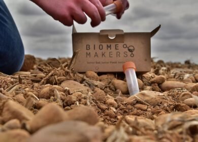 Biome Makers’ AI model reveals 99% of soils below carbon capacity