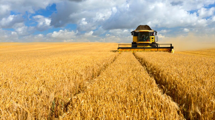 Hydrogel beads deliver nitrogen-fixing bacteria to cereal crop roots in new SDSU proof of concept
