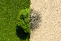 Israel Innovation Authority identifies five technology areas to combat desertification