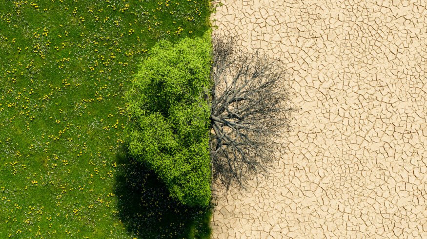 Israel Innovation Authority identifies five technology areas to combat desertification