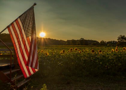USDA boosts regenerative agriculture funding to $1 billion for 2027