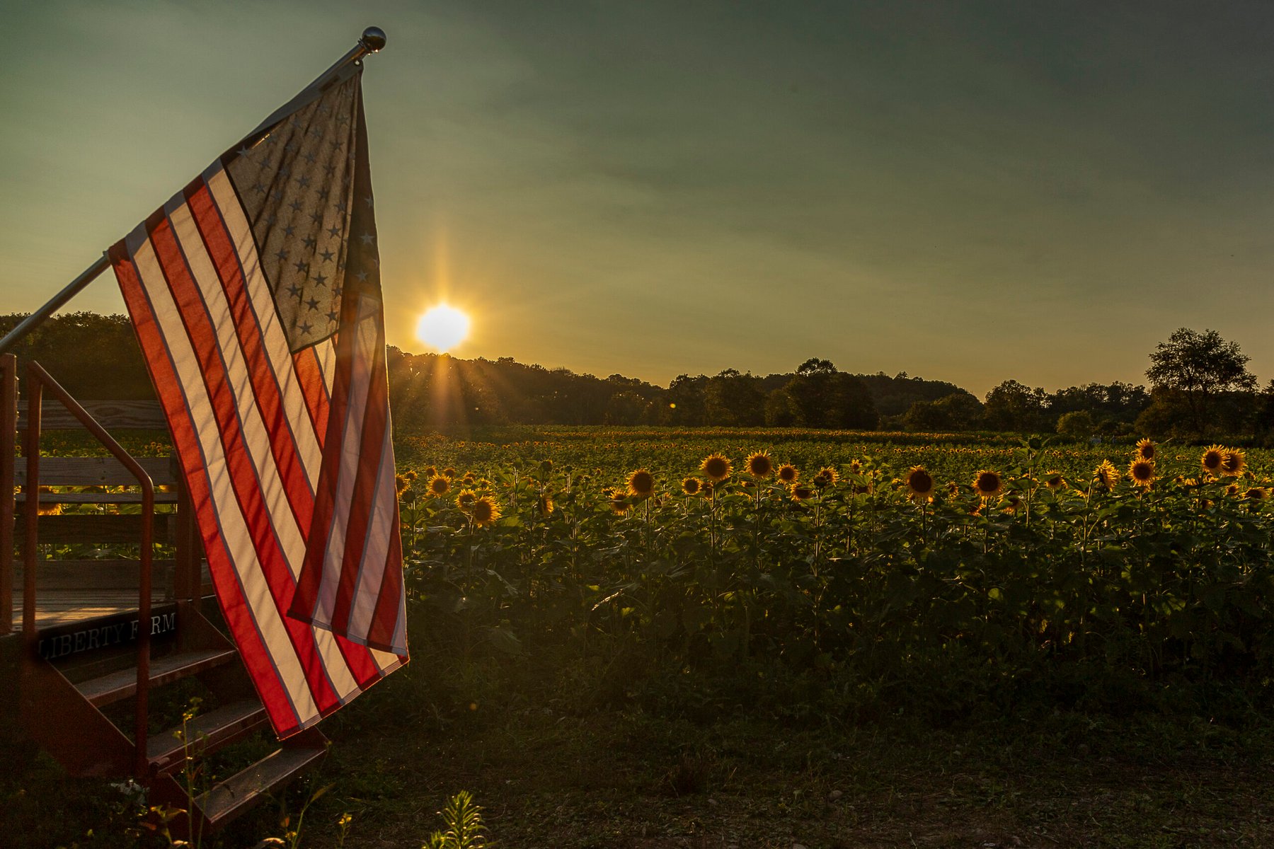 USDA boosts regenerative agriculture funding to $1 billion for 2027
