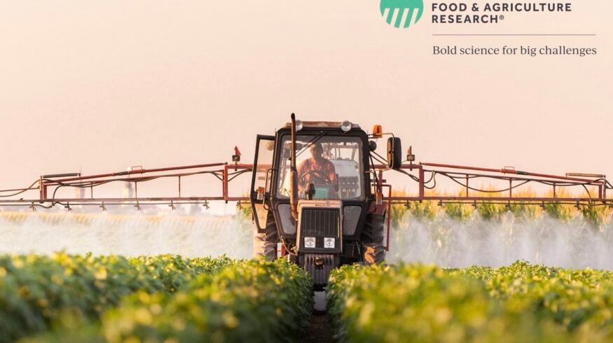 FFAR invests $9.3M in 12 grants to boost fertilizer efficiency