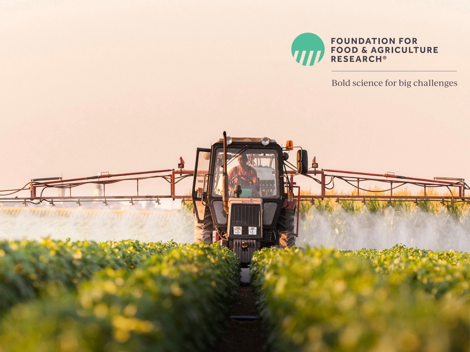 FFAR invests $9.3M in 12 grants to boost fertilizer efficiency