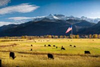 Farmers Innovation Fund wins USDA certification, opening Farm Credit capital to farmer-led agtech startups