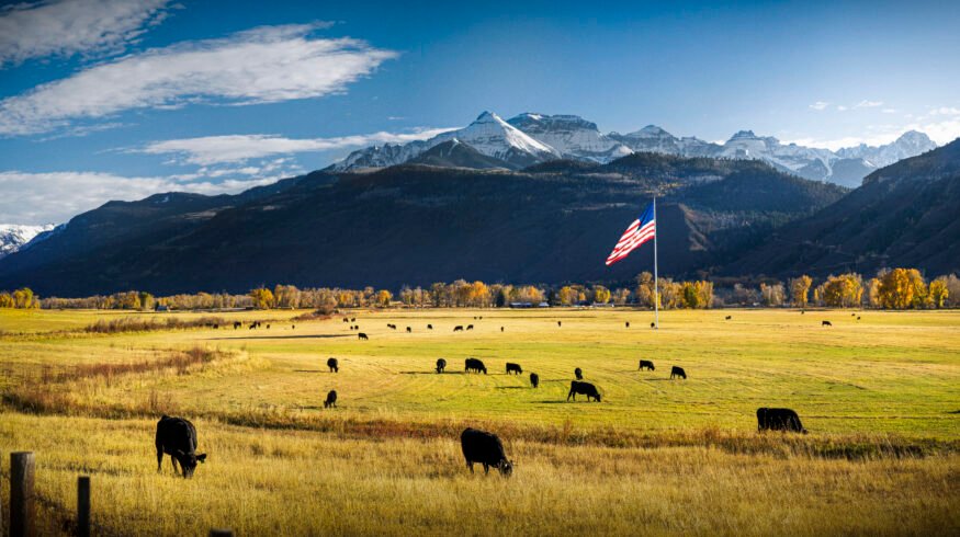 Farmers Innovation Fund wins USDA certification, opening Farm Credit capital to farmer-led agtech startups